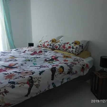 Lumi Pet And Planet Friendly * Polignano a Mare