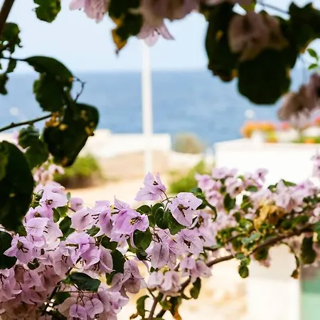 Lumi Pet And Planet Friendly * Polignano a Mare